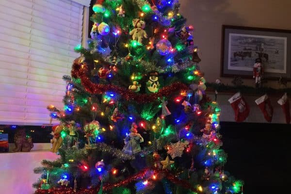 Merry Christmas!