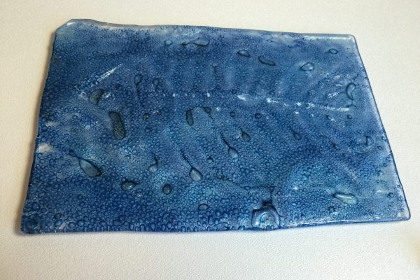 Fused Glass Fish & Bubbles