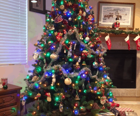 Merry Christmas - 2015