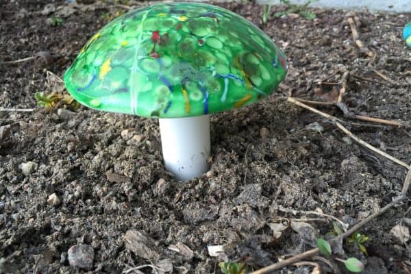 Fused Glass - Garden Mushrooms