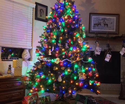 Merry Christmas 2016