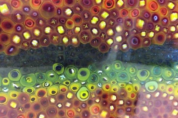 Murrini / Cane / Vitrigraph Class in California