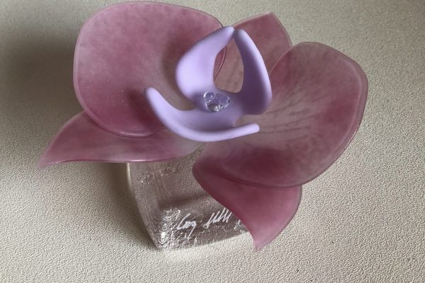 A little Piece of Craig - Orchid