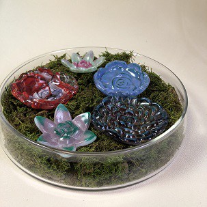 Fused Glass Succulents